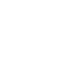 Bier