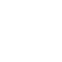 Donut