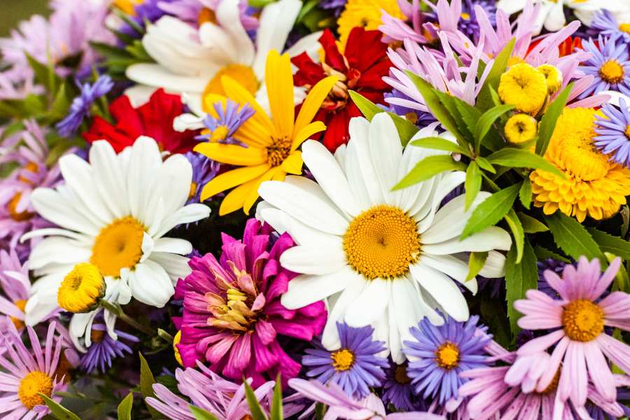 Bouquet
